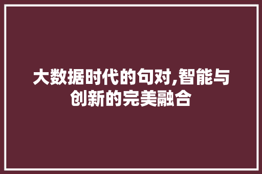 大数据时代的句对,智能与创新的完美融合