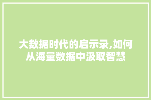大数据时代的启示录,如何从海量数据中汲取智慧