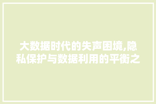 大数据时代的失声困境,隐私保护与数据利用的平衡之路