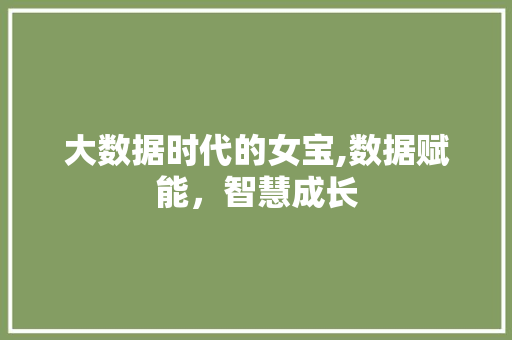 大数据时代的女宝,数据赋能，智慧成长