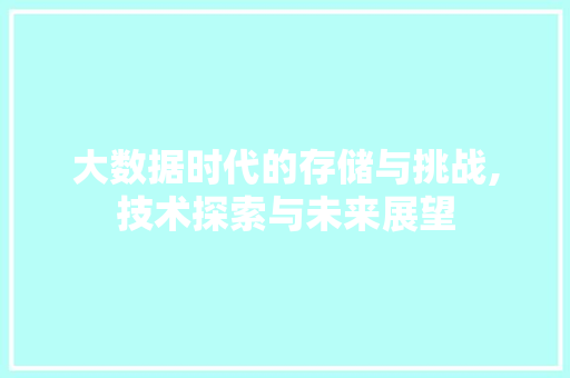 大数据时代的存储与挑战,技术探索与未来展望