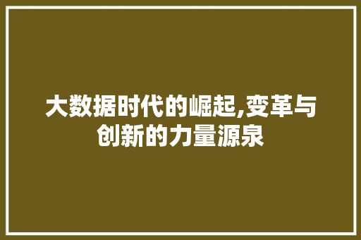 大数据时代的崛起,变革与创新的力量源泉