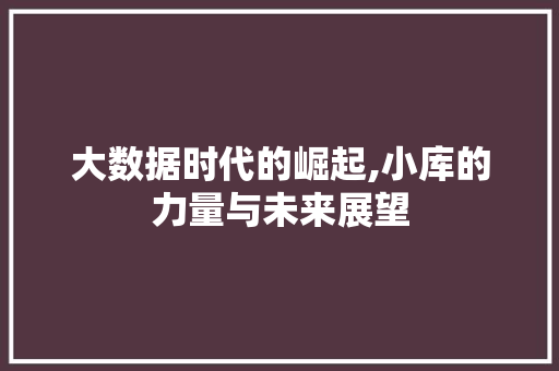 大数据时代的崛起,小库的力量与未来展望