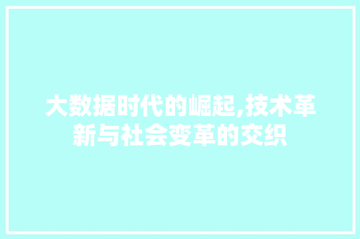 大数据时代的崛起,技术革新与社会变革的交织