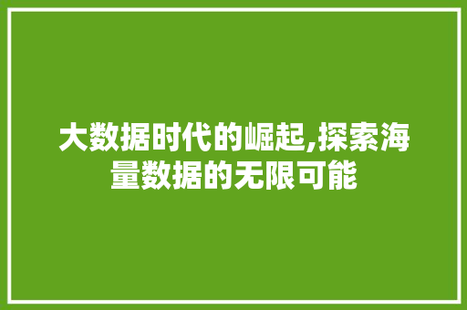 大数据时代的崛起,探索海量数据的无限可能