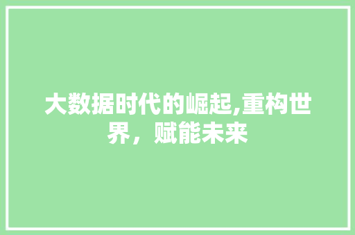 大数据时代的崛起,重构世界，赋能未来
