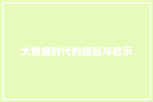 大数据时代的崛起与启示