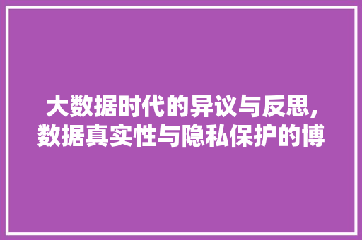 大数据时代的异议与反思,数据真实性与隐私保护的博弈