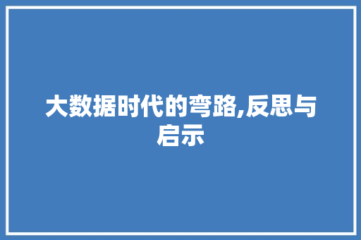 大数据时代的弯路,反思与启示