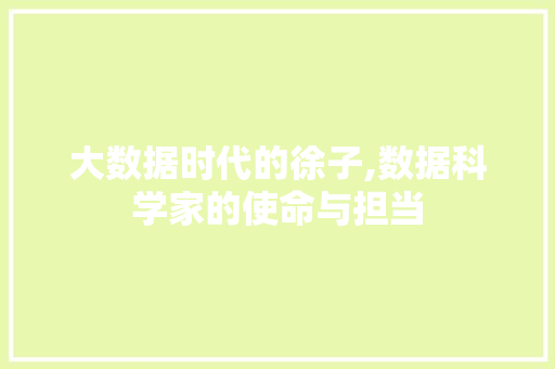 大数据时代的徐子,数据科学家的使命与担当