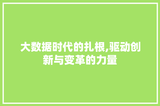 大数据时代的扎根,驱动创新与变革的力量