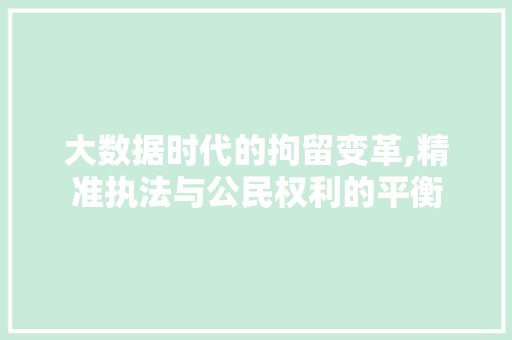 大数据时代的拘留变革,精准执法与公民权利的平衡