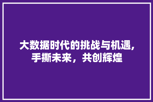 大数据时代的挑战与机遇,手撕未来，共创辉煌