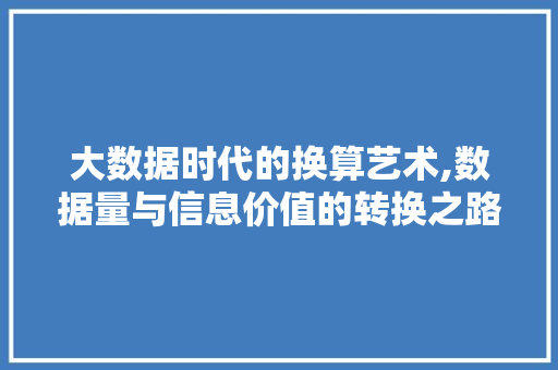大数据时代的换算艺术,数据量与信息价值的转换之路