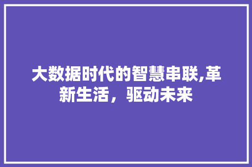 大数据时代的智慧串联,革新生活，驱动未来