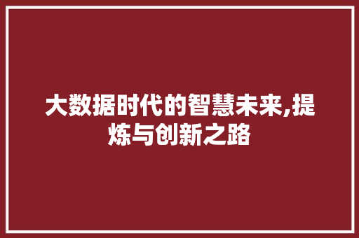 大数据时代的智慧未来,提炼与创新之路
