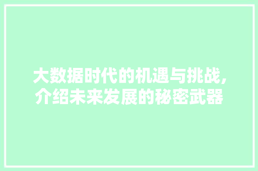 大数据时代的机遇与挑战,介绍未来发展的秘密武器
