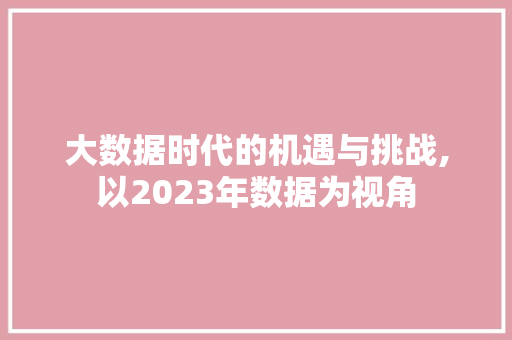大数据时代的机遇与挑战,以2023年数据为视角