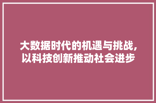 大数据时代的机遇与挑战,以科技创新推动社会进步