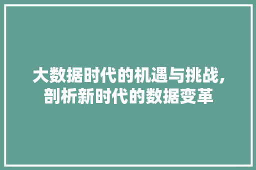 大数据时代的机遇与挑战,剖析新时代的数据变革