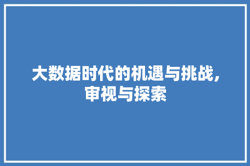 大数据时代的机遇与挑战,审视与探索