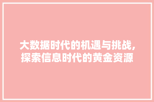 大数据时代的机遇与挑战,探索信息时代的黄金资源