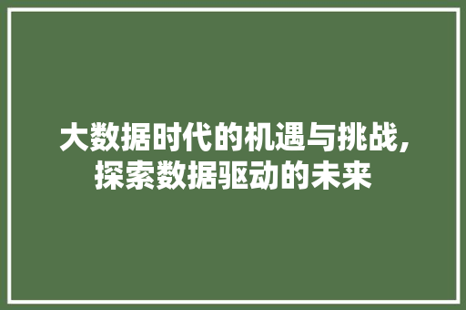 大数据时代的机遇与挑战,探索数据驱动的未来