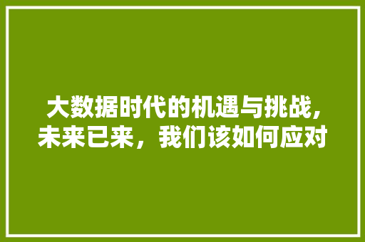 大数据时代的机遇与挑战,未来已来，我们该如何应对