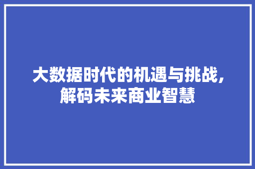 大数据时代的机遇与挑战,解码未来商业智慧
