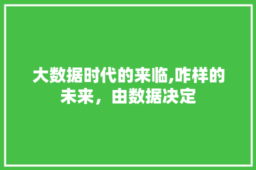 大数据时代的来临,咋样的未来，由数据决定