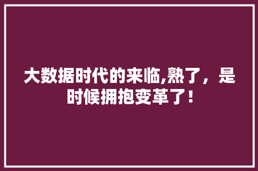 大数据时代的来临,熟了，是时候拥抱变革了！