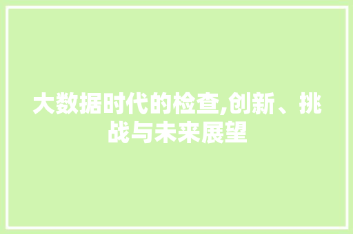 大数据时代的检查,创新、挑战与未来展望