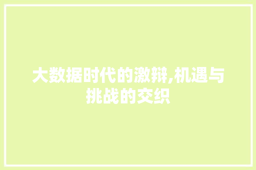 大数据时代的激辩,机遇与挑战的交织
