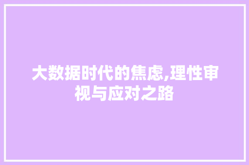 大数据时代的焦虑,理性审视与应对之路