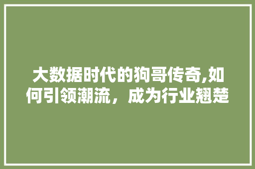 大数据时代的狗哥传奇,如何引领潮流，成为行业翘楚