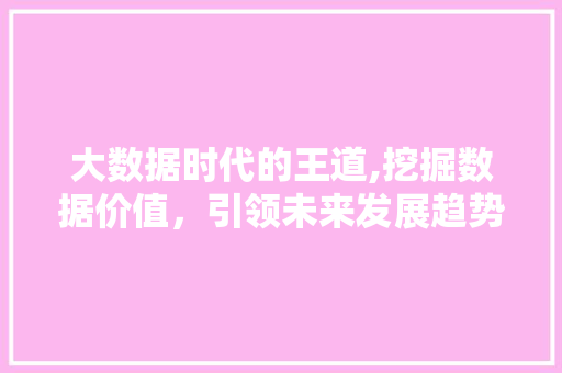 大数据时代的王道,挖掘数据价值，引领未来发展趋势