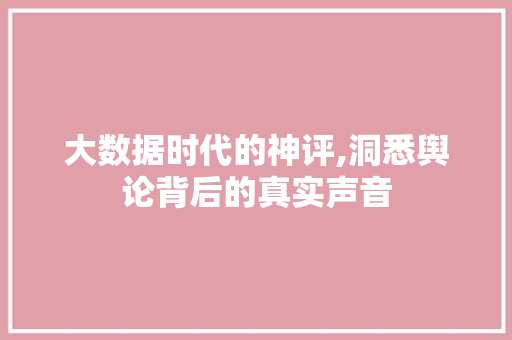 大数据时代的神评,洞悉舆论背后的真实声音