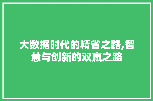 大数据时代的精省之路,智慧与创新的双赢之路