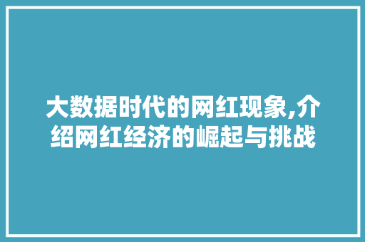 大数据时代的网红现象,介绍网红经济的崛起与挑战
