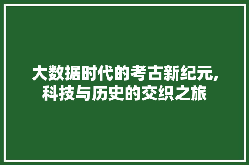 大数据时代的考古新纪元,科技与历史的交织之旅
