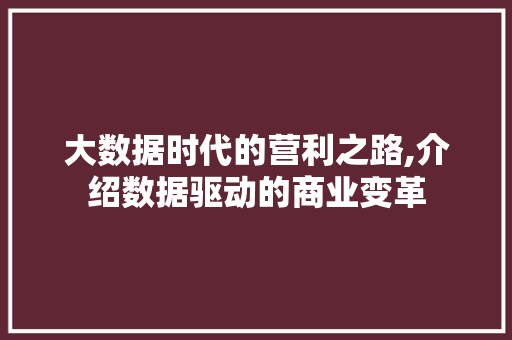 大数据时代的营利之路,介绍数据驱动的商业变革