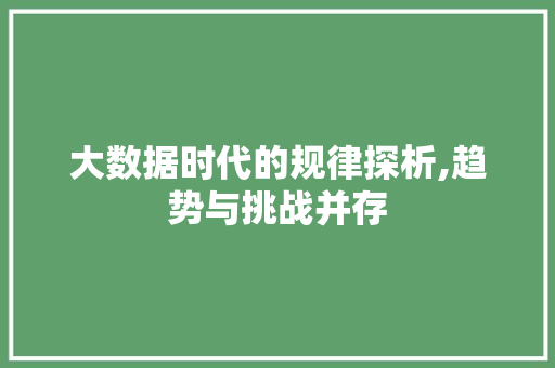 大数据时代的规律探析,趋势与挑战并存