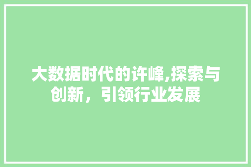 大数据时代的许峰,探索与创新，引领行业发展