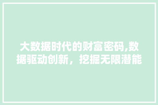 大数据时代的财富密码,数据驱动创新，挖掘无限潜能