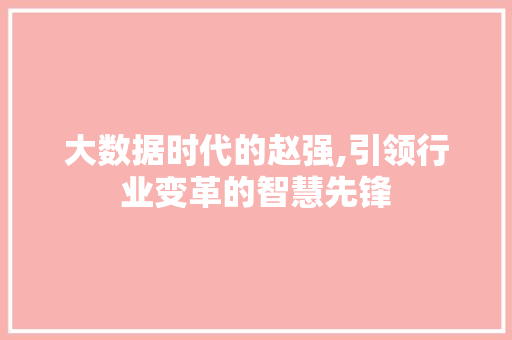 大数据时代的赵强,引领行业变革的智慧先锋