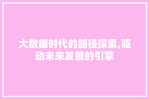 大数据时代的路径探索,驱动未来发展的引擎