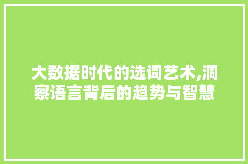 大数据时代的选词艺术,洞察语言背后的趋势与智慧