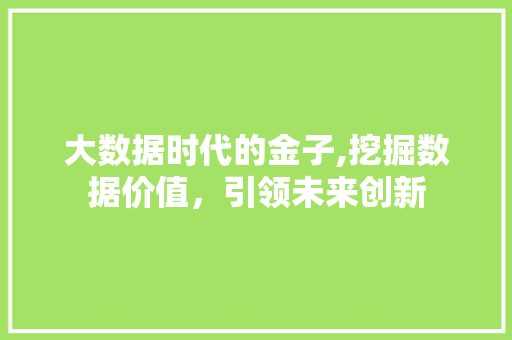 大数据时代的金子,挖掘数据价值，引领未来创新