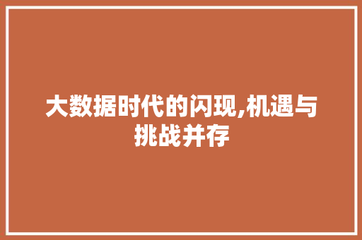 大数据时代的闪现,机遇与挑战并存