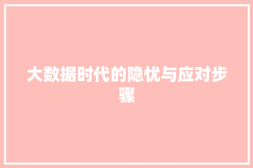 大数据时代的隐忧与应对步骤